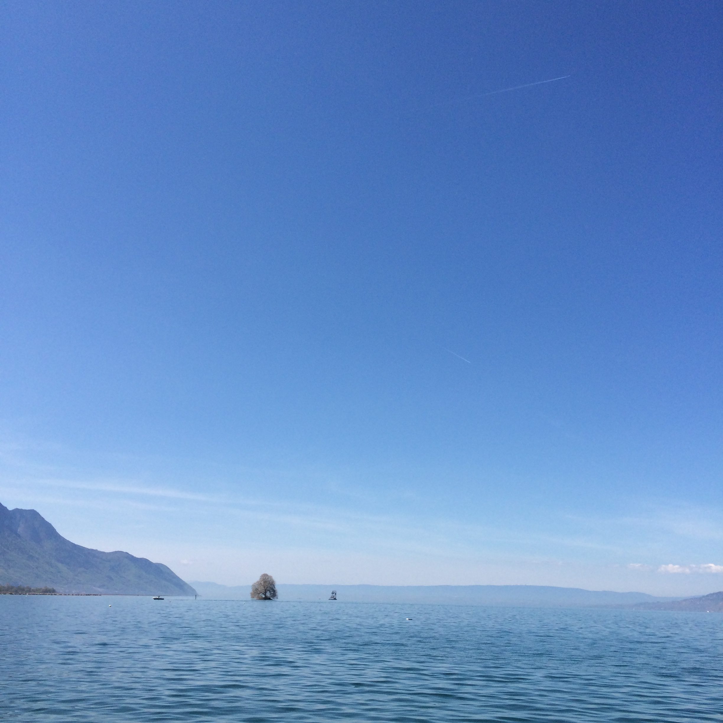 Lac